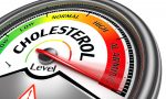 Che cosa è il colesterolo? 8 miti da sfatare