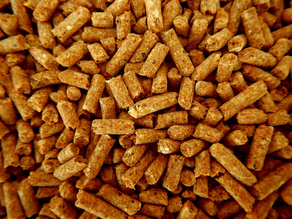 I vantaggi del pellet e come scegliere quello giusto