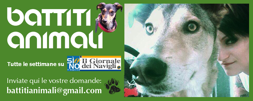 Rubrica Battiti Animali: Made in Italy