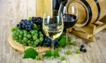 Corsi degustazioni vini per tutti i wine lovers