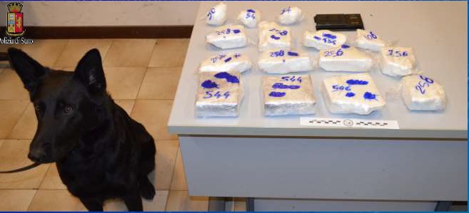 Cane poliziotto scopre vano segreto telecomandato per nascondere la droga (Video)