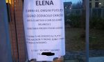 Cerca da sette anni il suo amore: Elena, dove sei?