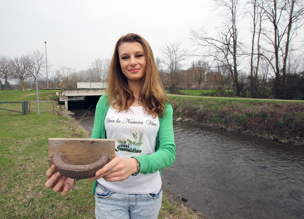 Nidi per le rondini e salvaguardia del verde: Ape Natura in prima linea per l’ambiente