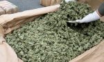 Spaccio a Milano dall'Albania: sequestrati 440 chili di marijuana e 10 di cocaina