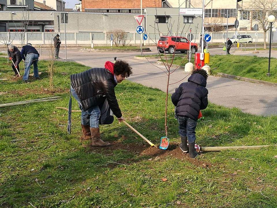 È nato il Bosco dei 100 alberi a Buccinasco