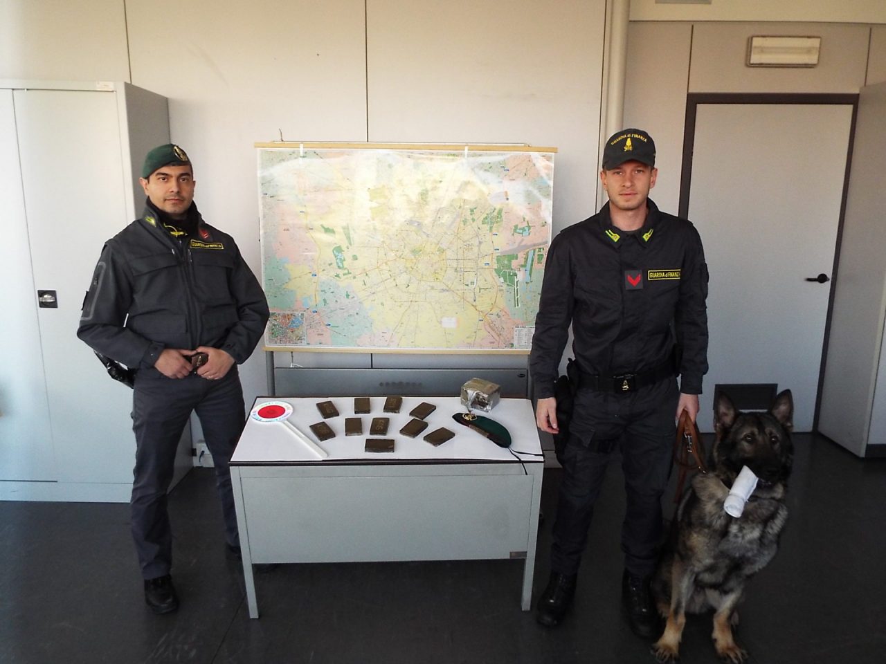 Tenta la fuga con due chili di hashish, i cani antidroga lo bloccano