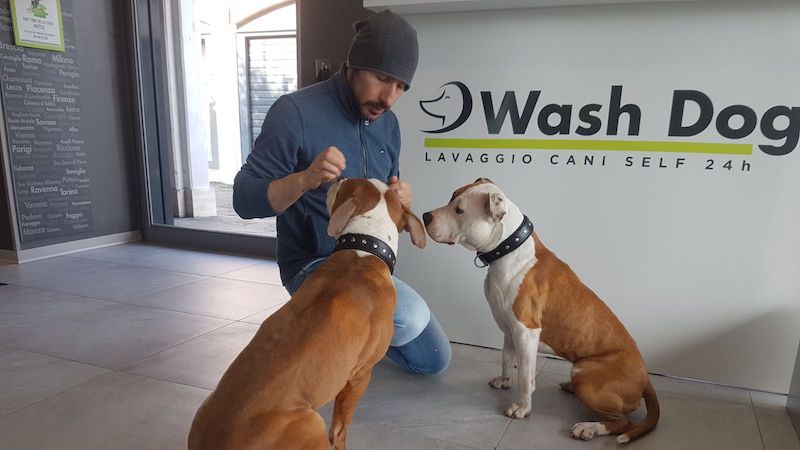 Wash Dog: un mondo di coccole per i vostri amici a 4 zampe