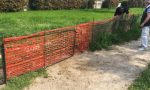 Area cani senza recinzione: ci pensano i cittadini di Cesano Boscone a sistemarla