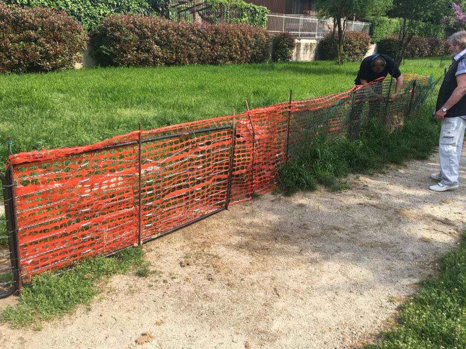 Area cani senza recinzione: ci pensano i cittadini di Cesano Boscone a sistemarla