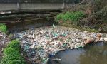 Trenta sacchi di plastica nel cavo Borromeo a Basiglio: le sentinelle del verde ripuliscono