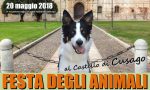 Al via la Festa degli Animali 2018 al Castello di Cusago