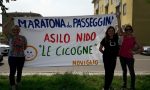 Alla Maratona dei passeggini anche gli amici animali