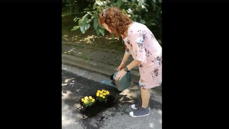 BucciRinasco mette fiori nelle buche, ma il sindaco replica: “Pericoloso”