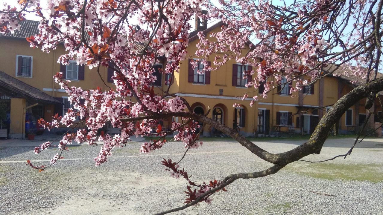 Un’esperienza da non perdere: campus estivi alla Cascina Guzzafame