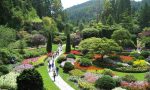 Progettare un giardino, serve un professionista