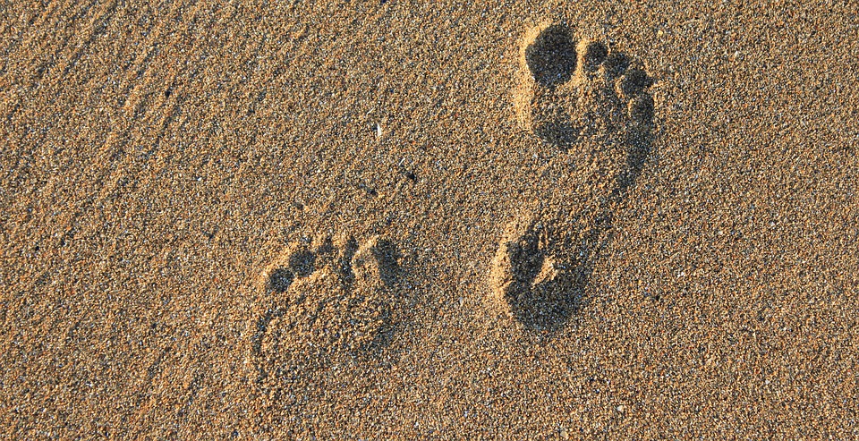 Plantari su misura per vivere meglio