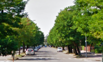 Via di Vittorio, 120 nuovi alberi per il restyling della strada