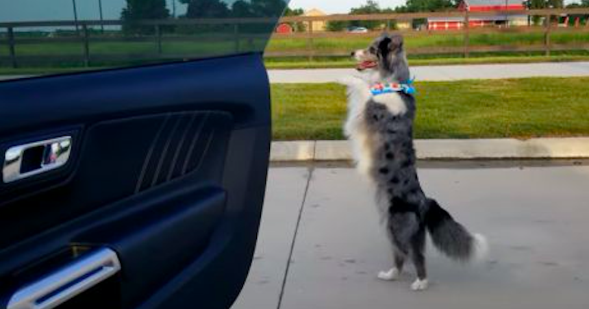Il Kiki Challenge sarà la follia di questa estate ?