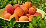Ricette fresche per l’estate: albicocche, fragole e manghi