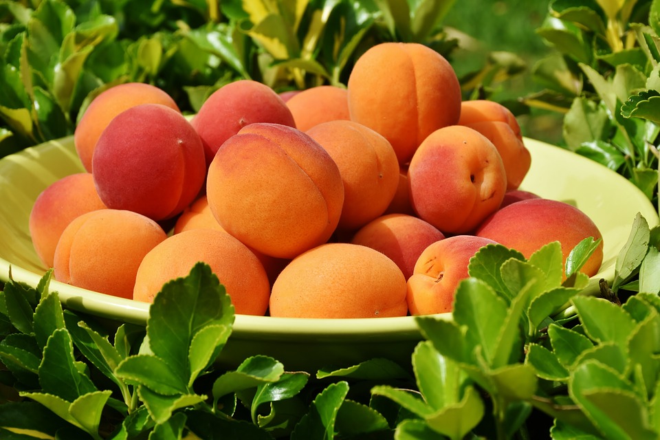 Come preparare il gelato all’albicocca e alle fragole di bosco