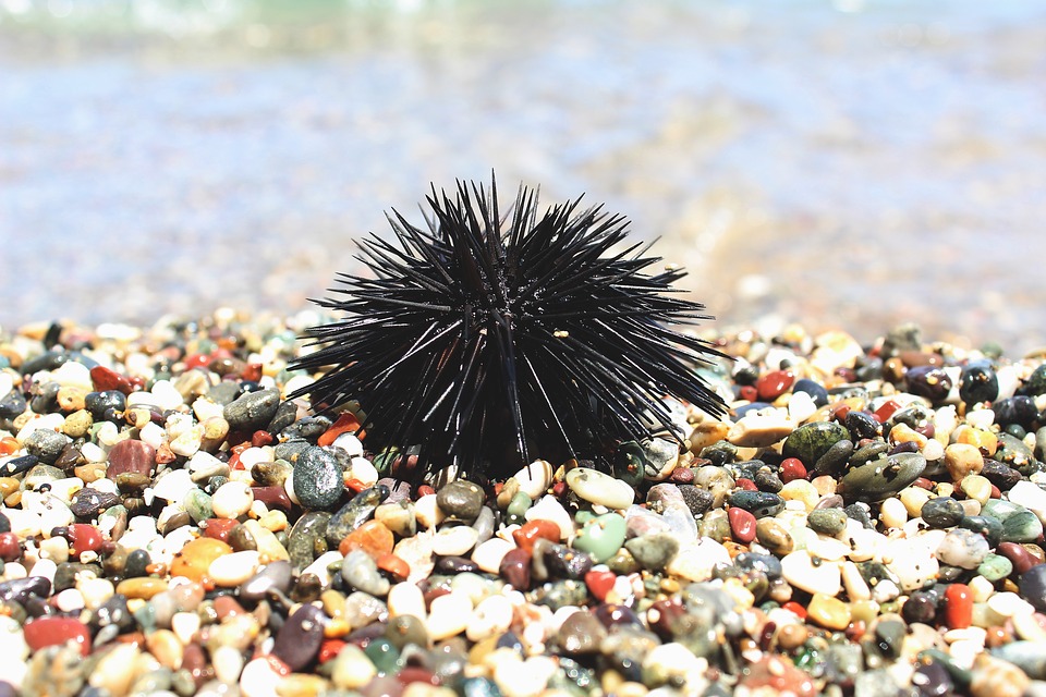 Come comportarsi in spiaggia se …