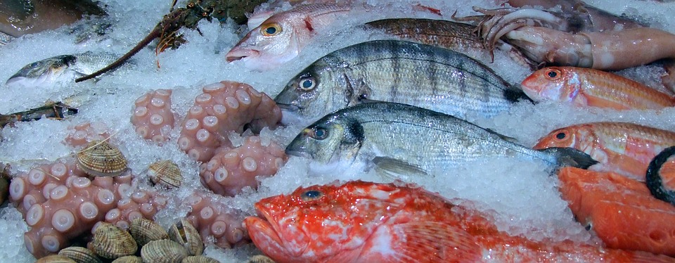 Come scegliere il pesce? Ecco alcuni consigli utili