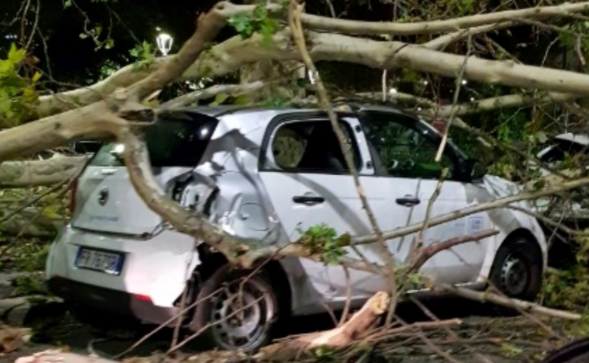 Raffiche di vento a Milano e hinterland: si contano i danni