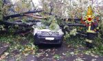 Maltempo, un albero crolla su una macchina: un 25enne ferito FOTO
