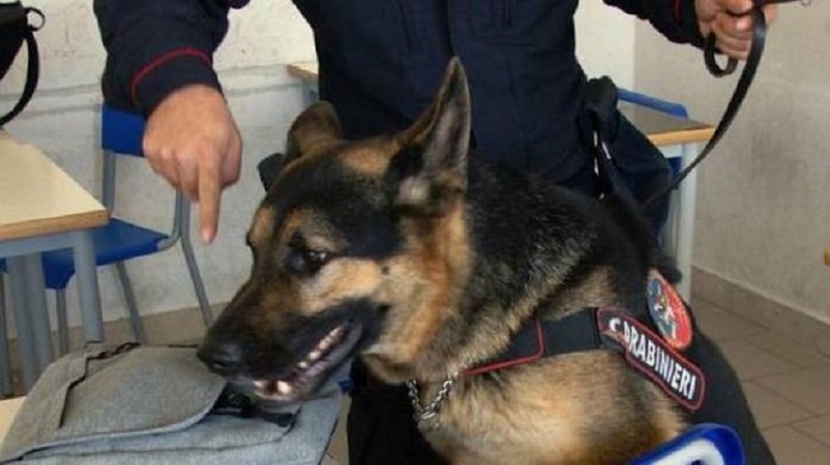Blitz antidroga scuole di San Donato, arrestato spacciatore 47enne