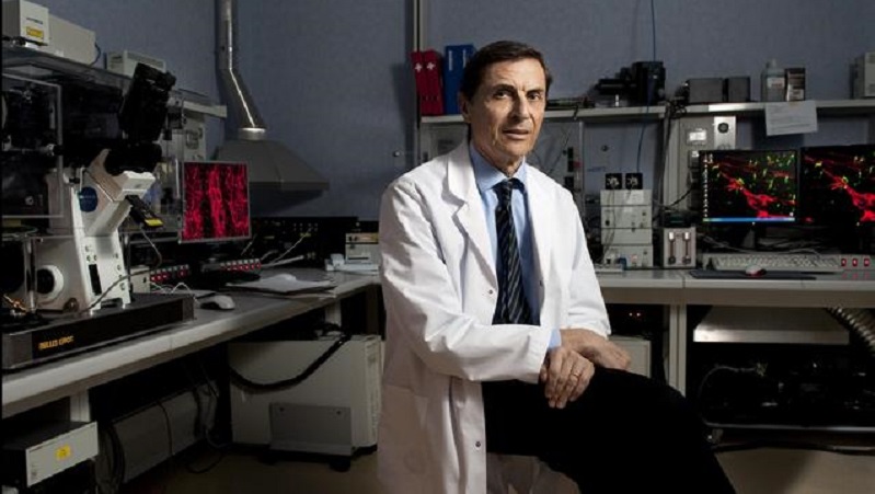 Lotta al cancro, il professor Mantovani di Humanitas premiato a New York