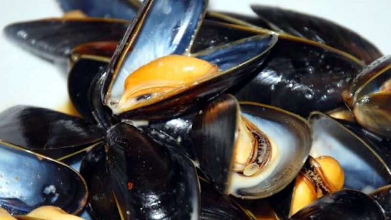 Rischio colera per cozze sarde ritirate dal mercato.