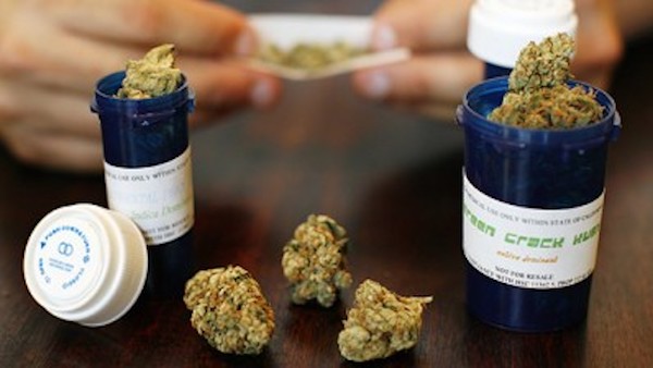 Cannabis terapeutica, via libera dal Pirellone alla coltivazione