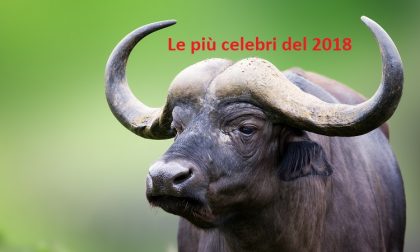 Nel 2018 boom di fake news: un italiano su due crede nelle bufale