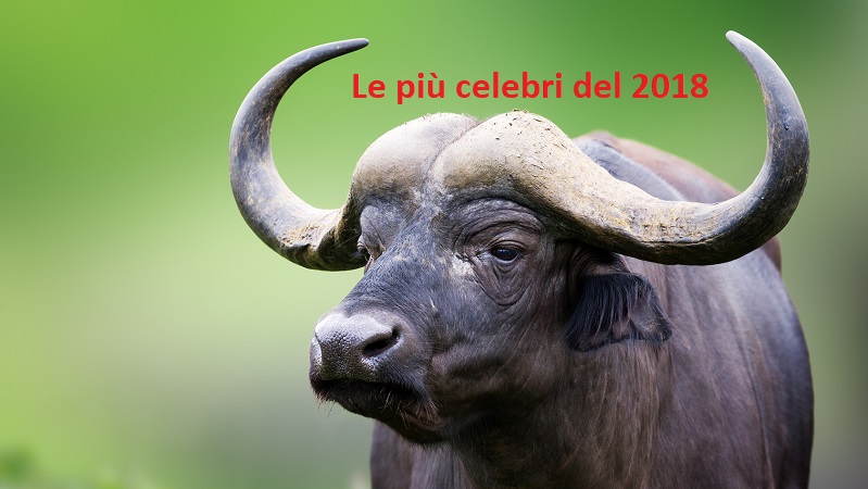 Nel 2018 boom di fake news: un italiano su due crede nelle bufale
