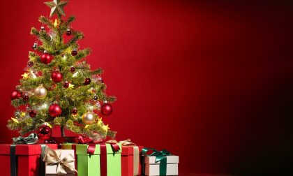 Consigli per scegliere l’albero di Natale giusto