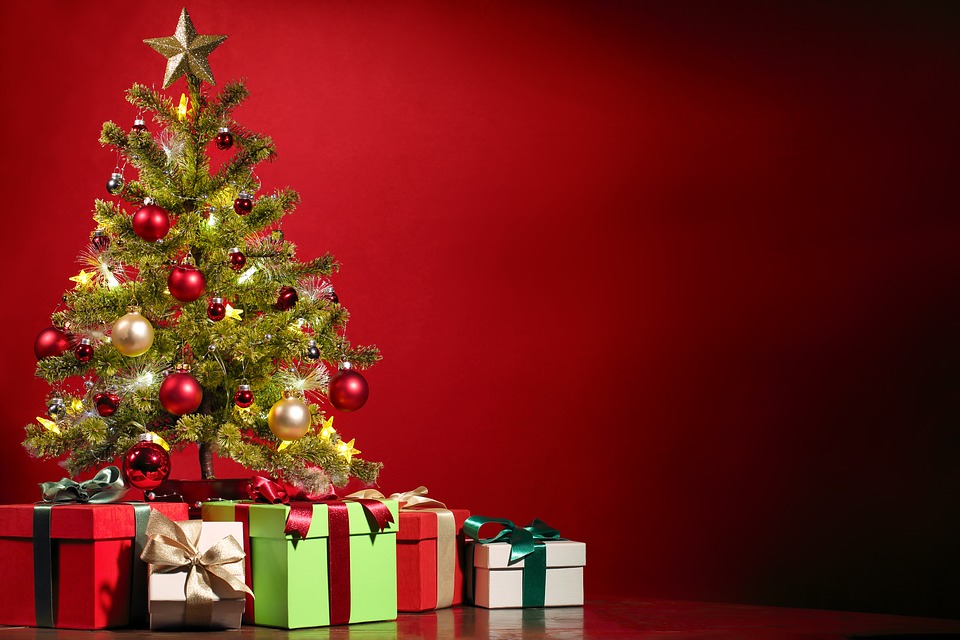 Consigli per scegliere l’albero di Natale giusto