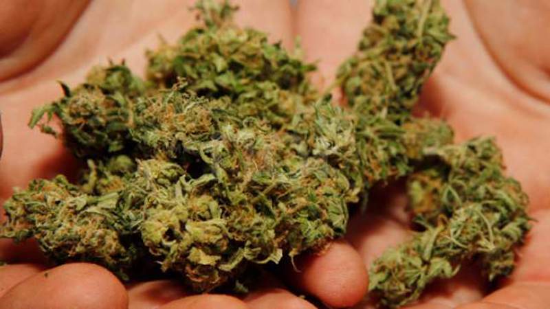 Un laboratorio per dosi di droga in casa, arrestato giovane pusher