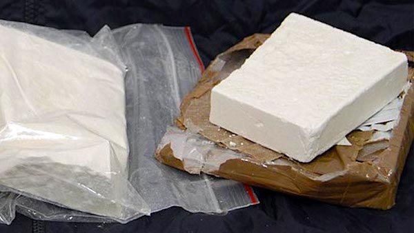 Chili di cocaina in Emilia Romagna, la base operativa a Rozzano