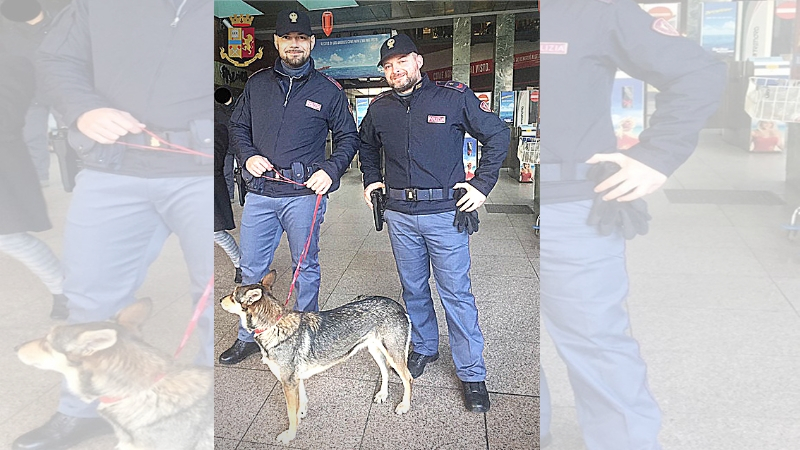Cagnolina tra i binari vaga per la stazione: salvata dagli agenti della Polfer