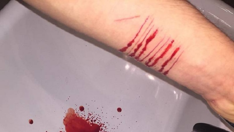 Blue Whale, 23enne rinviata a giudizio per il brutale gioco