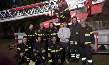 Pappagallo scappa, recuperato e salvato dai Vigili del fuoco