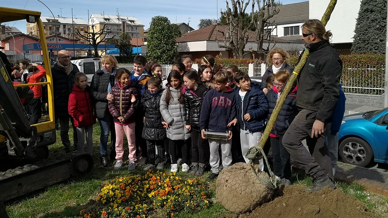 Nuovi alberi in piazza San Lorenzo donati da un papà e piantati dagli alunni