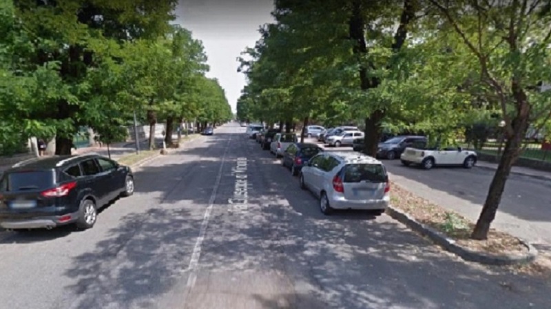 Abbattimento alberi: manifestazione di protesta e chiarimenti dalla maggioranza