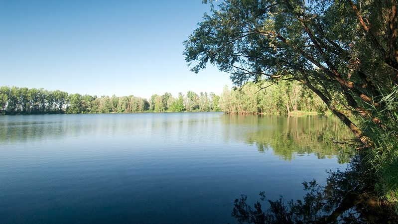 Al via gli interventi sul lago di Basiglio: 195 abbattimenti e piantumazioni in programma