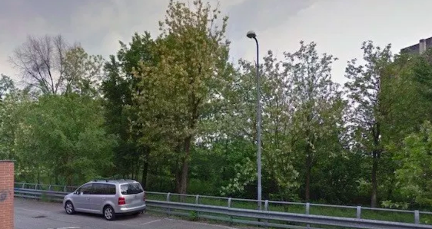 Disboscamento di via Salieri, la ditta responsabile “licenziata” dal Comune