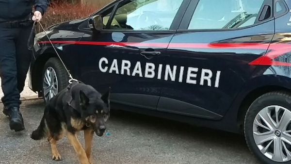 Droga nascosta in cantina: la scopre il cane dell’Unità Cinofili