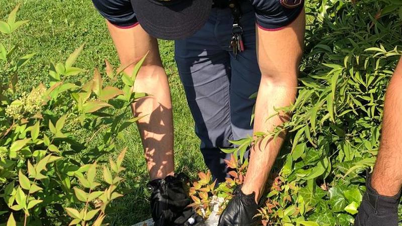 Nasconde la droga nel giardino condominiale: arrestato spacciatore