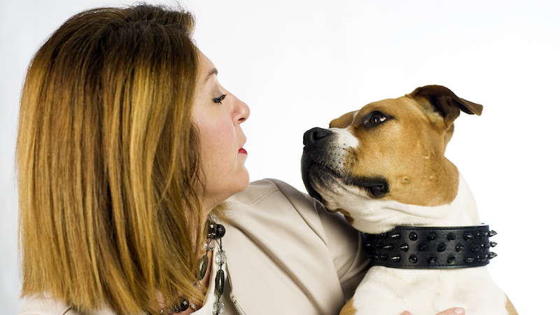 Test del DNA su cane conteso tra due proprietari