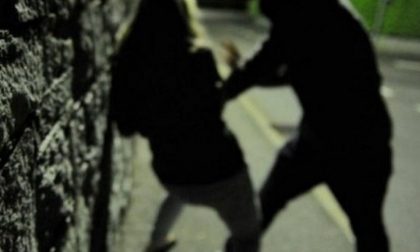 Violenta ragazza di 18 anni al parco: arrestato dai poliziotti