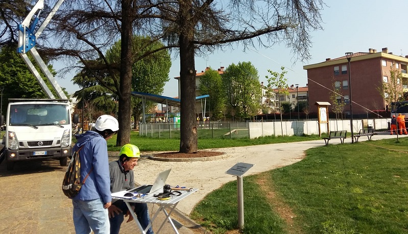 Cedri abbattuti, il sindaco: “Un giorno triste ma intervento necessario”